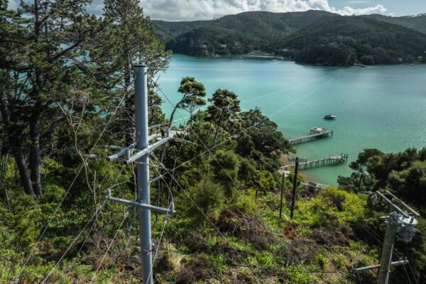 Kawau Island Long Line 3 Kawau Island Long Line 3