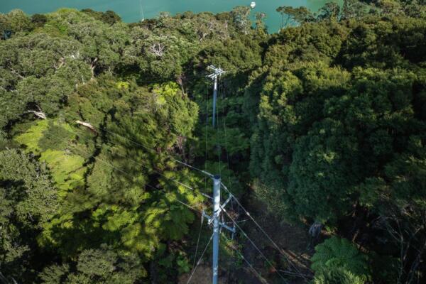 Kawau Island Long Line 4 Kawau Island Long Line 4